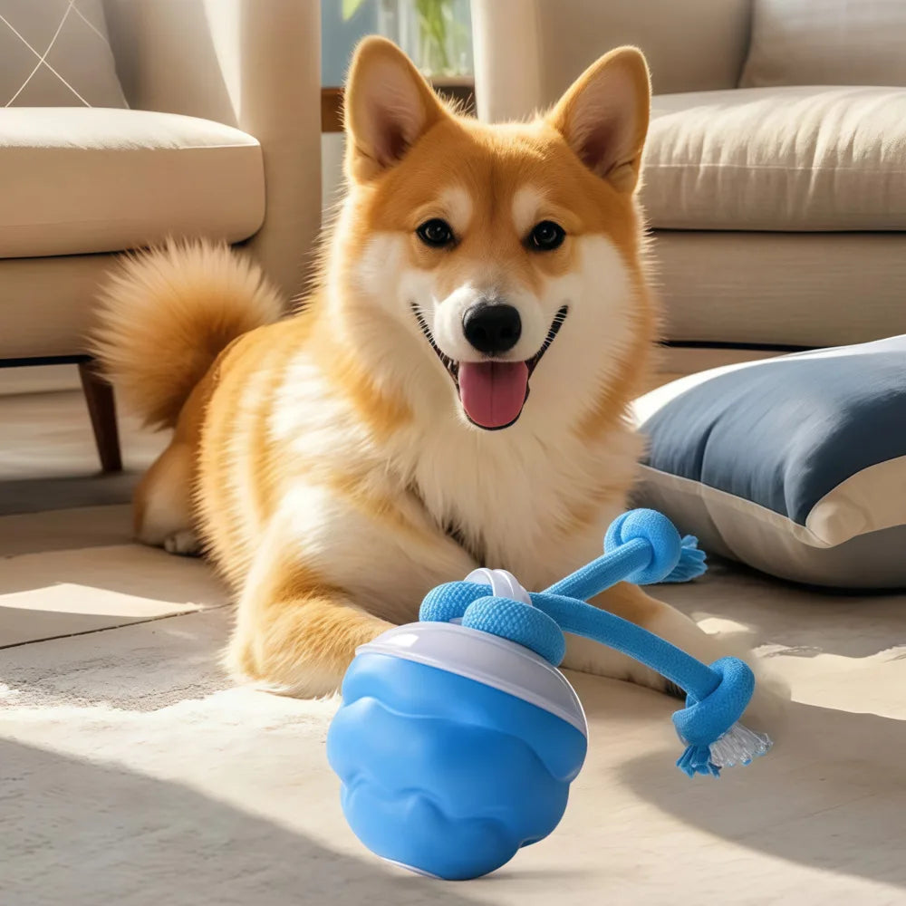 Smart Interactive Dog Toys Rolling Ball with Rope Motion Activated Automatic Moving Squeaky Dog Training Puppy Chew Toy Balls